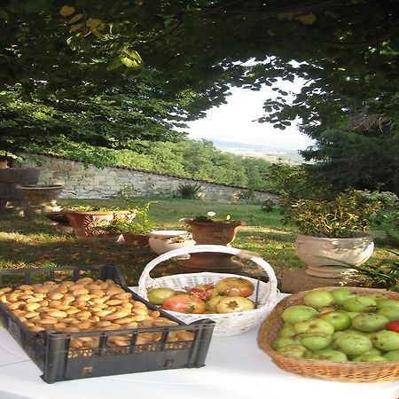 Il Mio Rifugio ξενώνας Gaggio Montano Εξωτερικό φωτογραφία